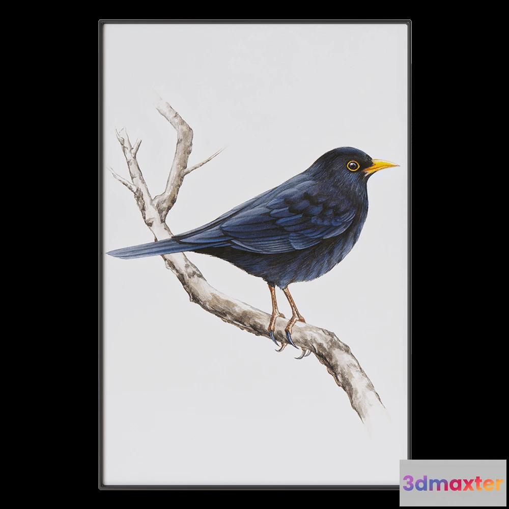 1602156 - NC Design group - Picture SLU13 3D Max