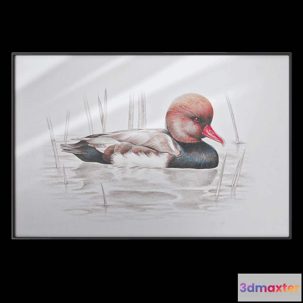 1602162 - NC Design group - Picture SLU09 3D Max