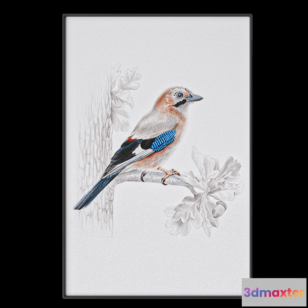 1602164 - NC Design group - Picture SLU11 3D Max