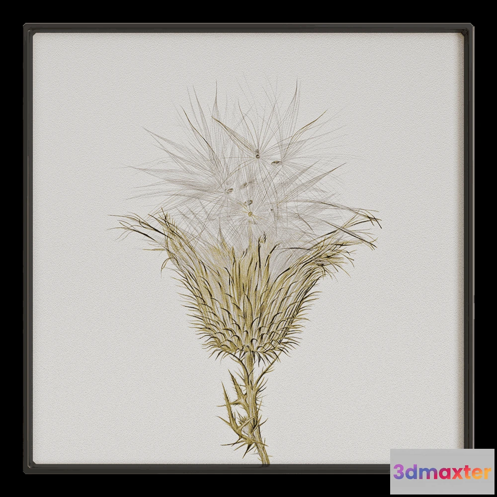 1602168 - NC Design group - Picture SLU07 3D Max