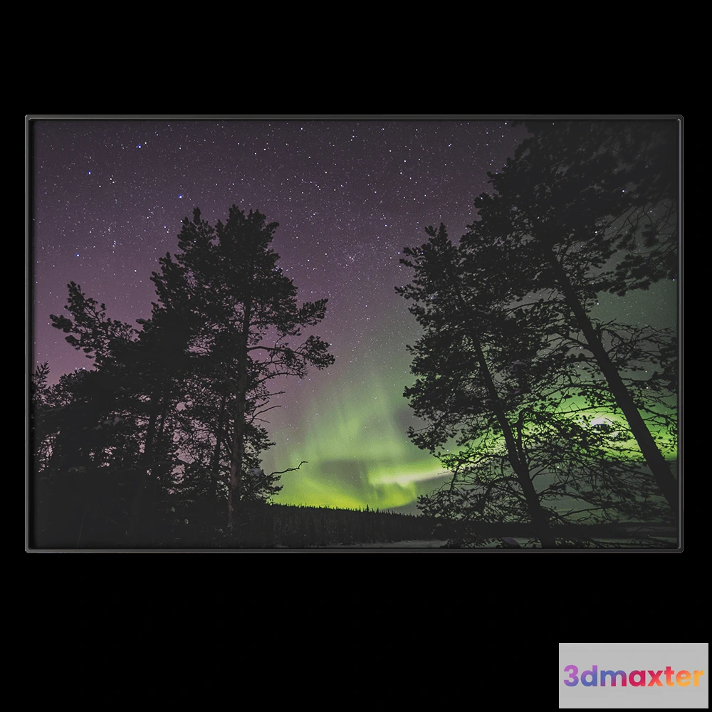 1602170 - NC Design group - Picture PTZ43 3D Max