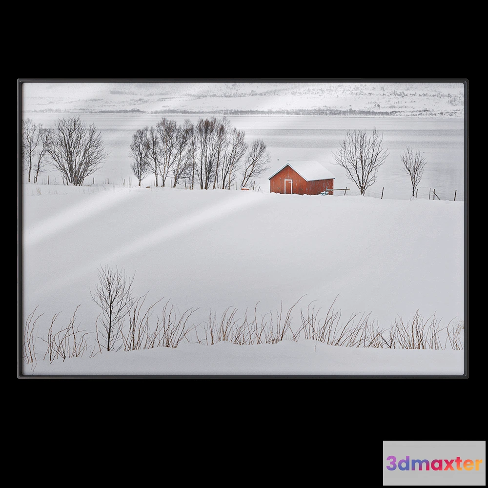 1602212 - NC Design group - Picture NCD-PTZ31-AL 3D Max