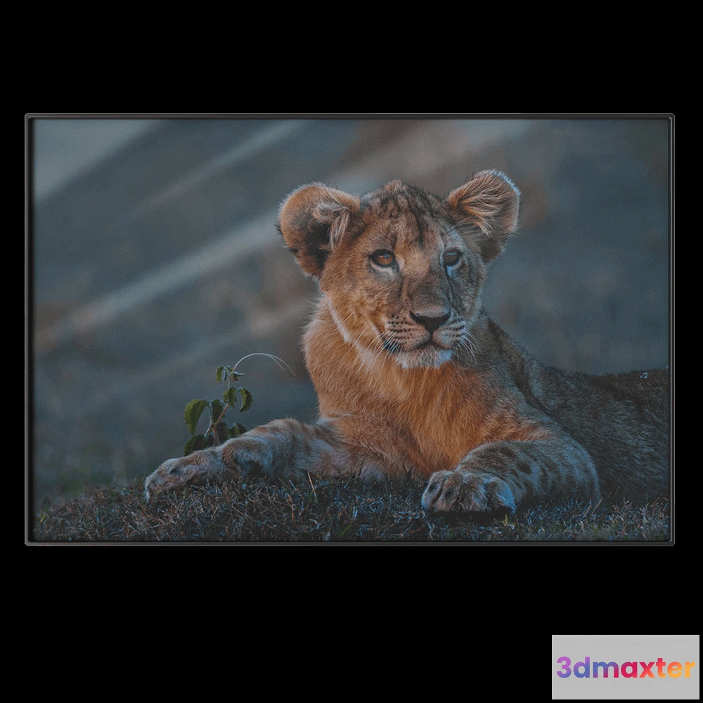 1602216 - NC Design group - Picture NCD-PTZ24 3D Max