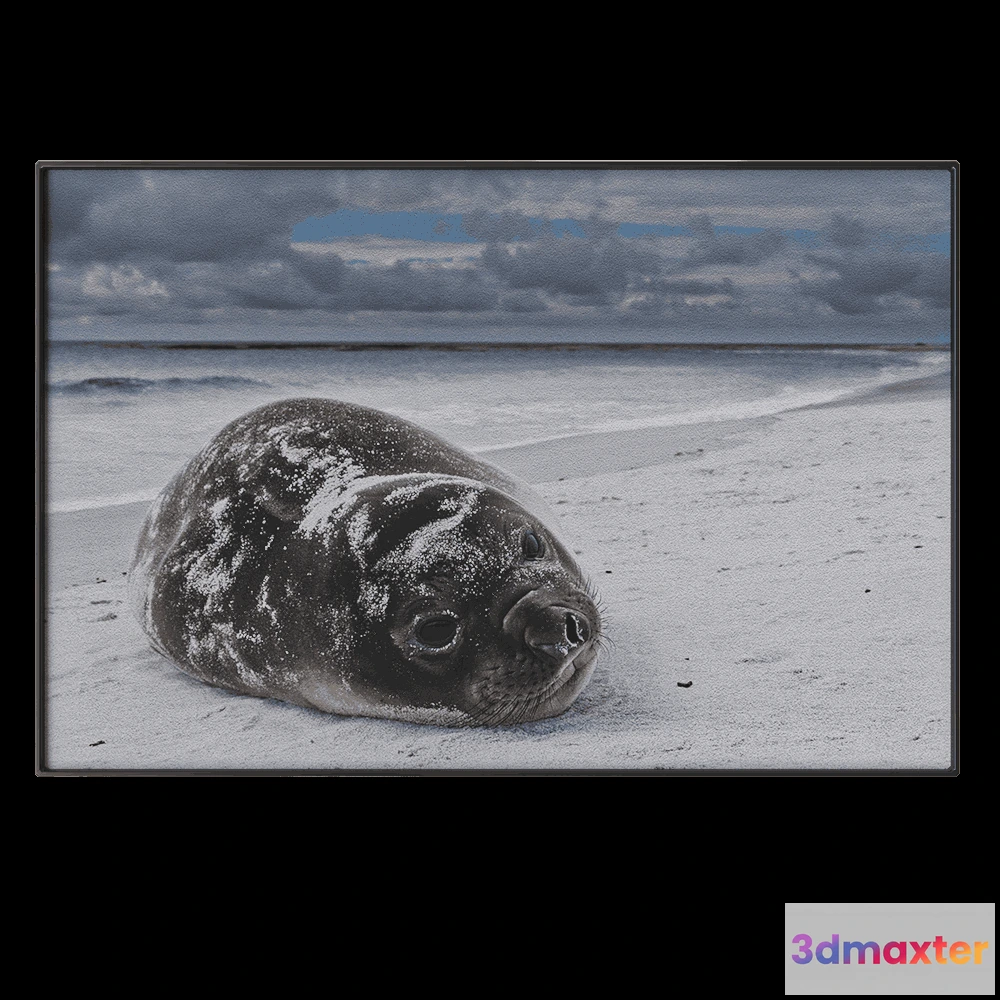 1602222 - NC Design group - Picture NCD-PTZ20 3D Max