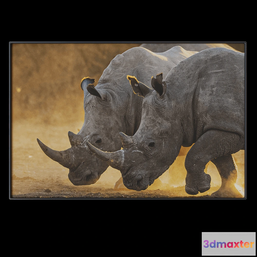 1602234 - NC Design group - Picture NCD-PTZ12 3D Max