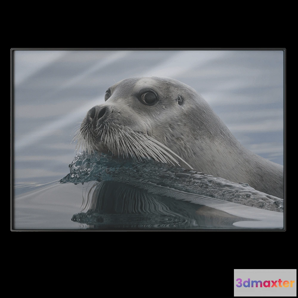 1602236 - NC Design group - Picture PTZ36 3D Max