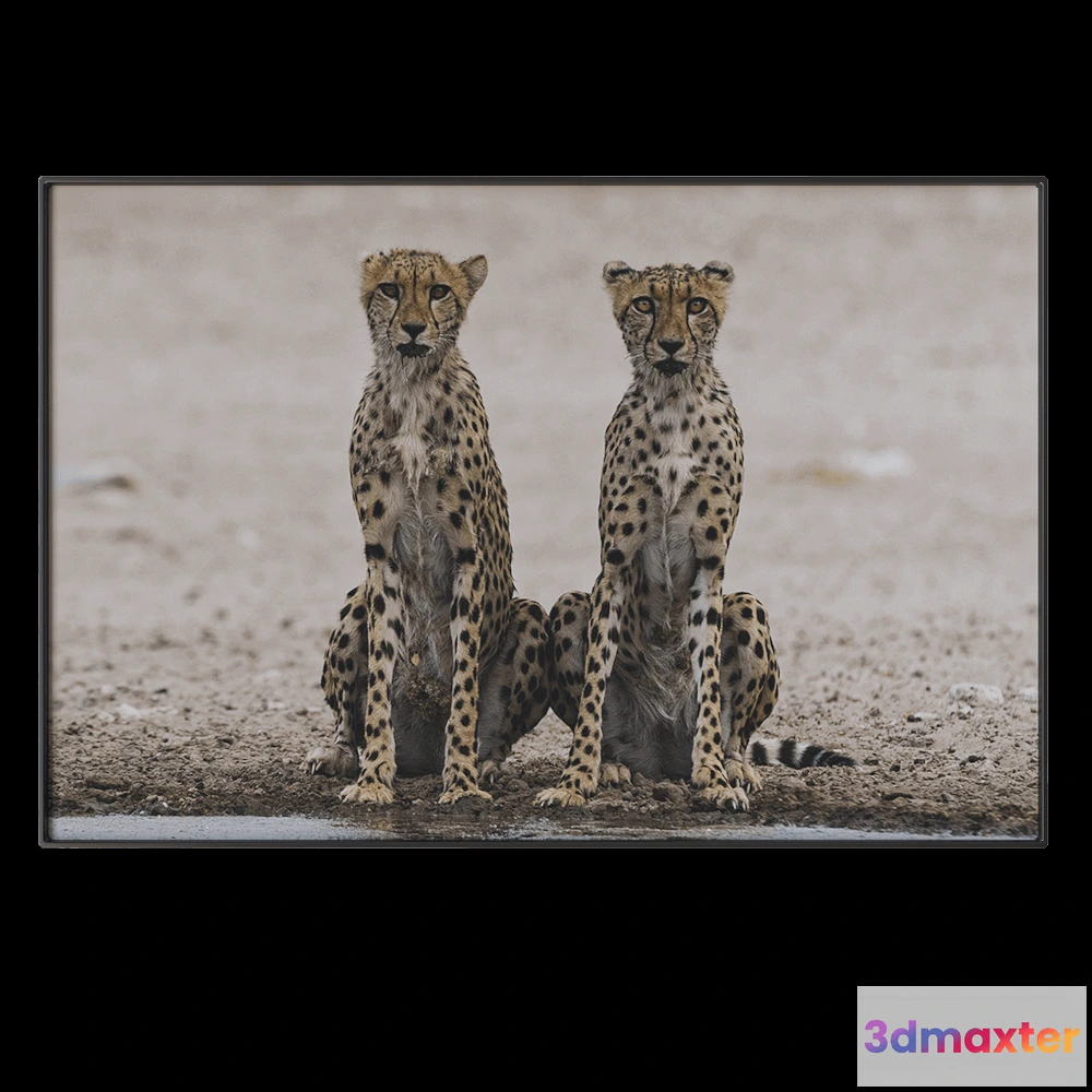 1602240 - NC Design group - Picture NCD-PTZ09 3D Max