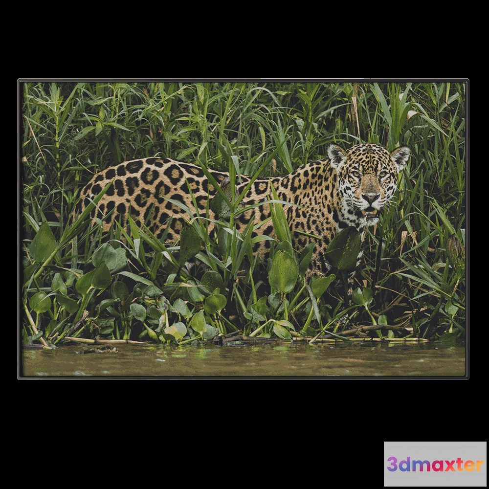 1602246 - NC Design group - Picture NCD-PTZ04 3D Max