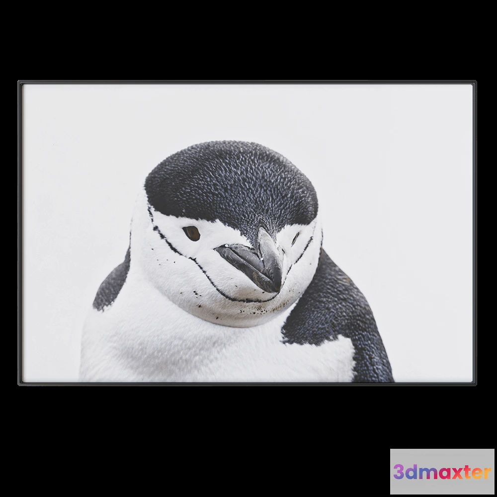 1602248 - NC Design group - Picture NCD-PTZ03 3D Max