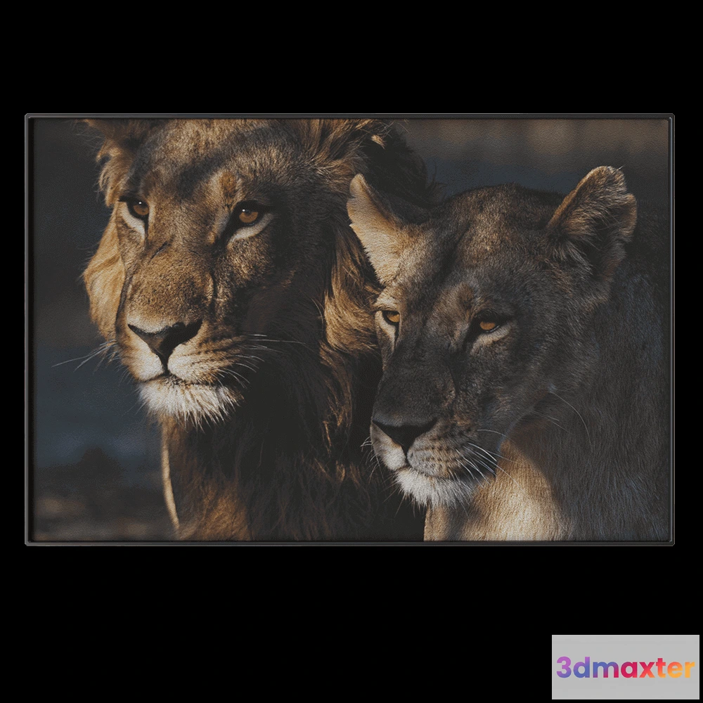 1602250 - NC Design group - Picture NCD-PTZ06 3D Max