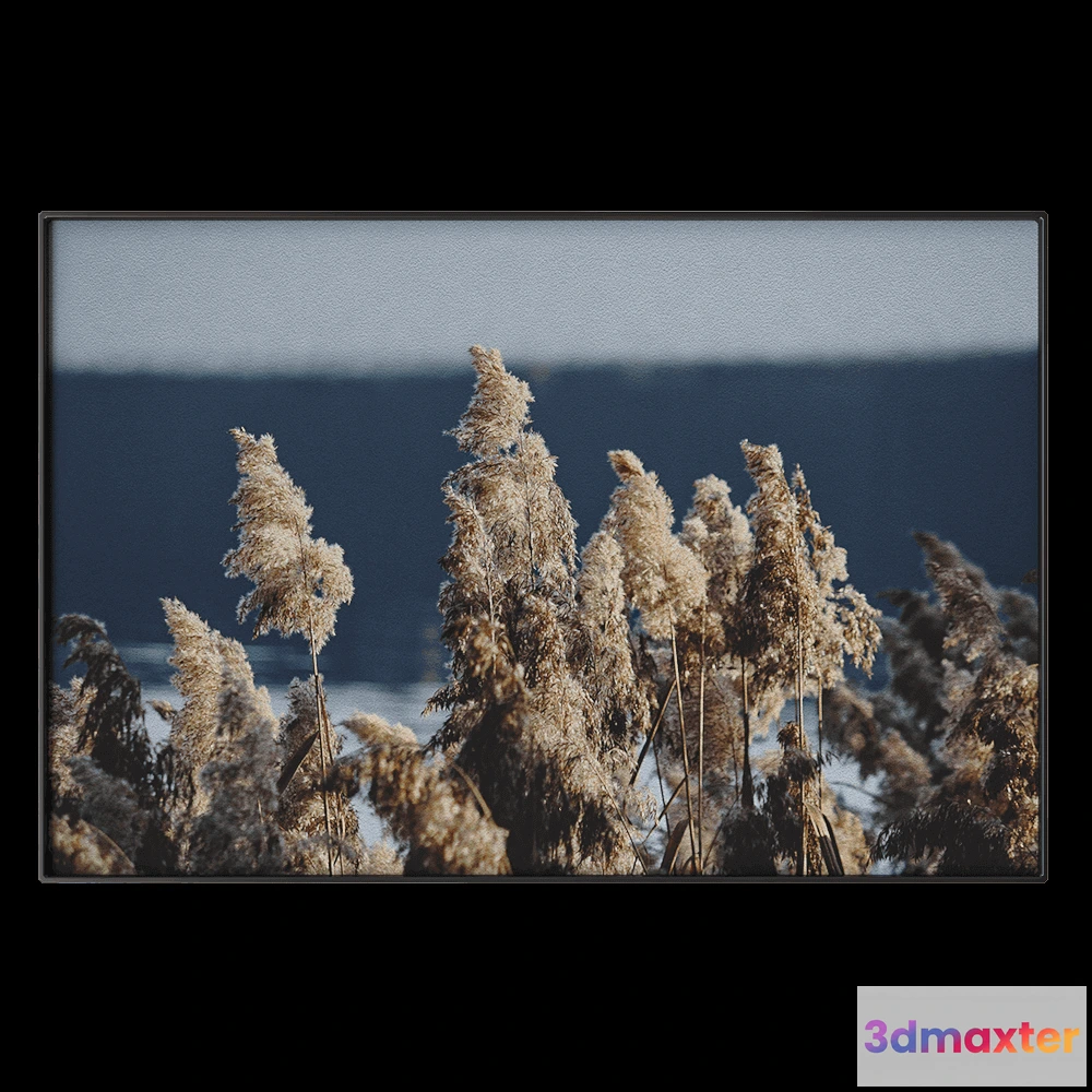 1602262 - NC Design group - Picture NCD-TBK09 3D Max