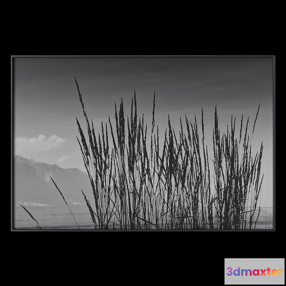 1602266 - NC Design group - Picture NCD-TBK01 3D Max