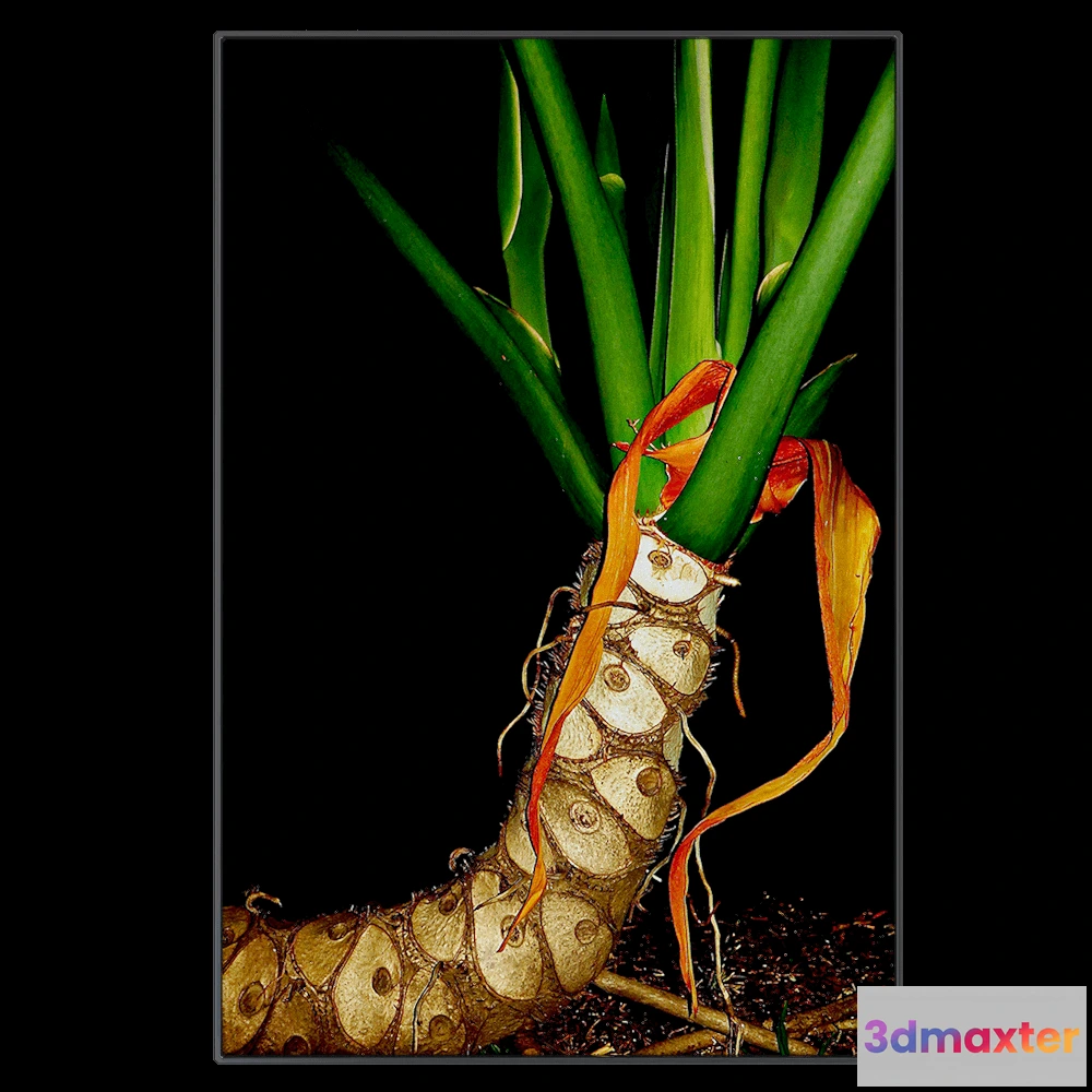 1602810 - NC Design group® - Picture EBG01 3D Max