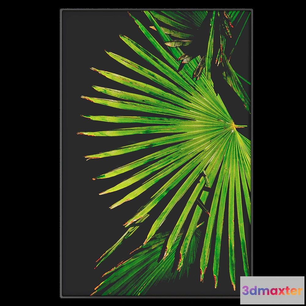 1602822 - NC Design group® - Picture EBG11 3D Max