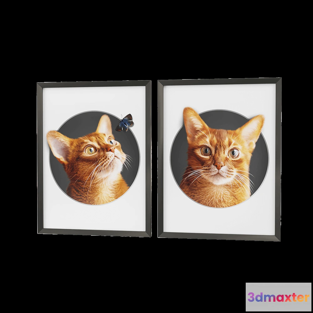 1602980 - Petposter - Cat print 2 3D Max