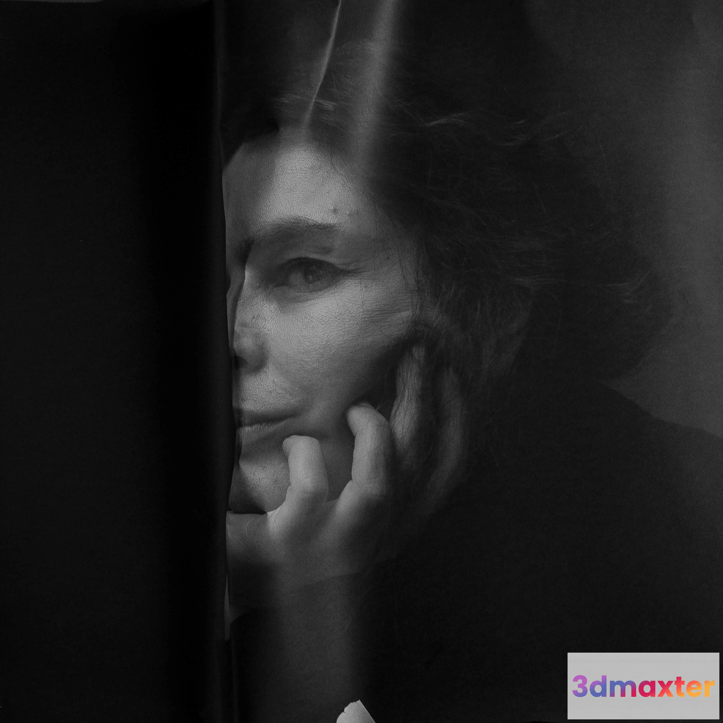 1603018 - Suren Tadevosyan - Picture 24 3D Max