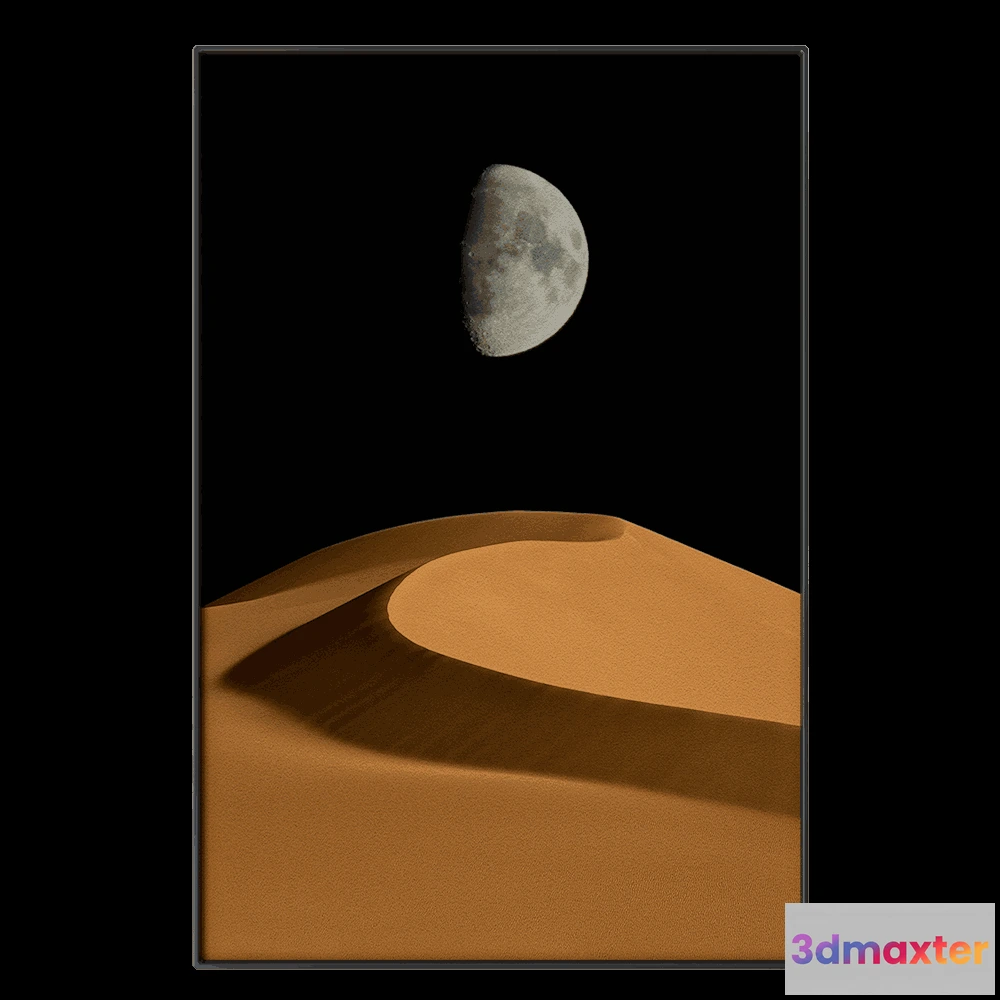 1603032 - Systemtronic - Picture PTZ44 3D Max