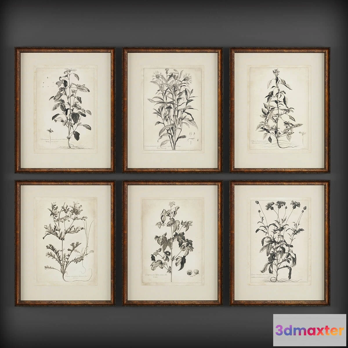 1603166 - decoration - Pictures 133 3D Max