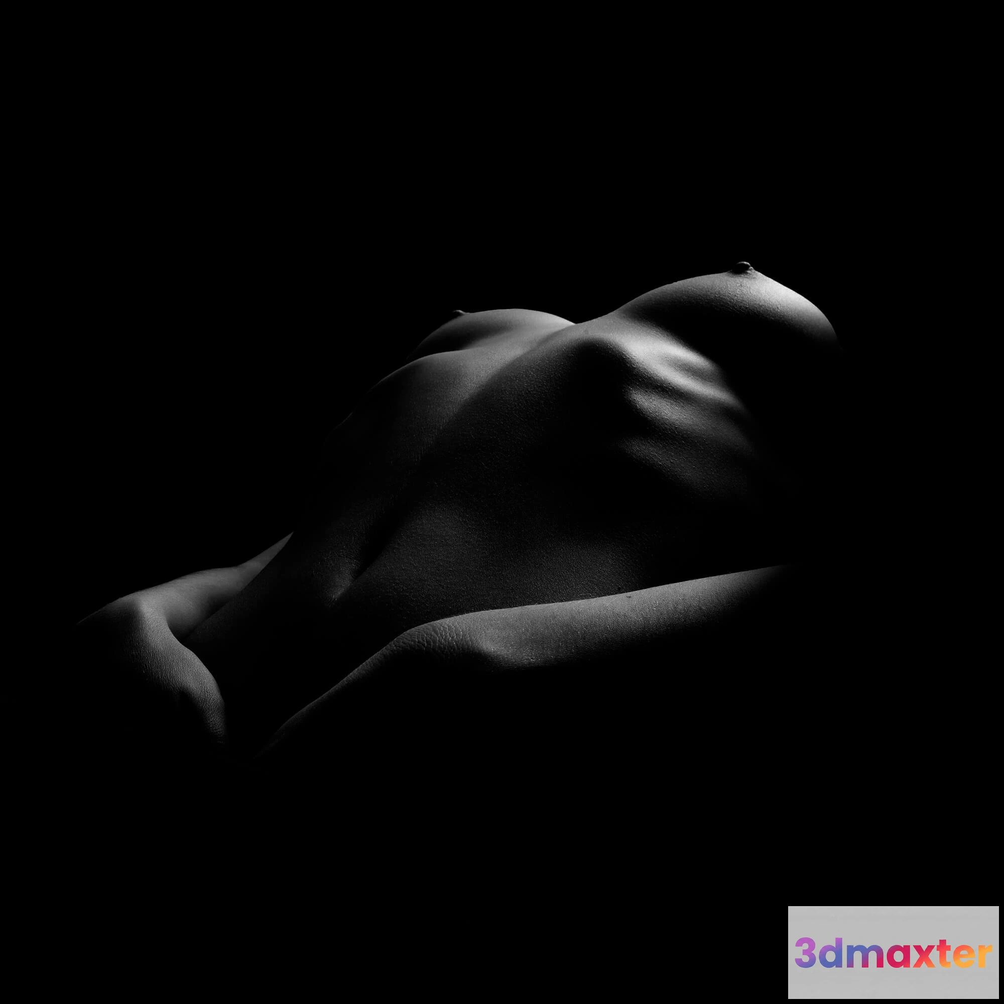 1603302 - decoration - Picture 16 3D Max