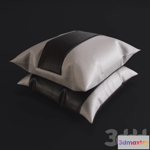 1088916 - Pillow_Leather_S2A - 222473
