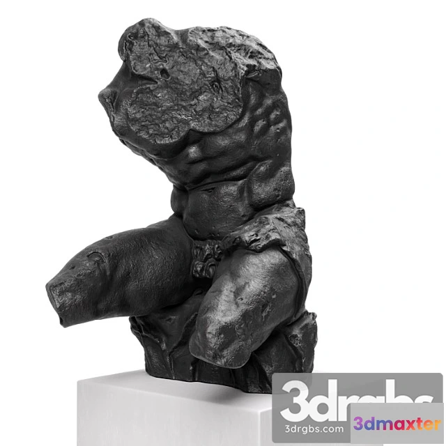 1022546 - Belvedere torso sculpture black