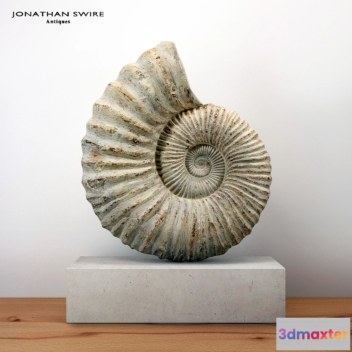 1285404 - Large Ammonite Mounted on a Limestone Base 3D Max
