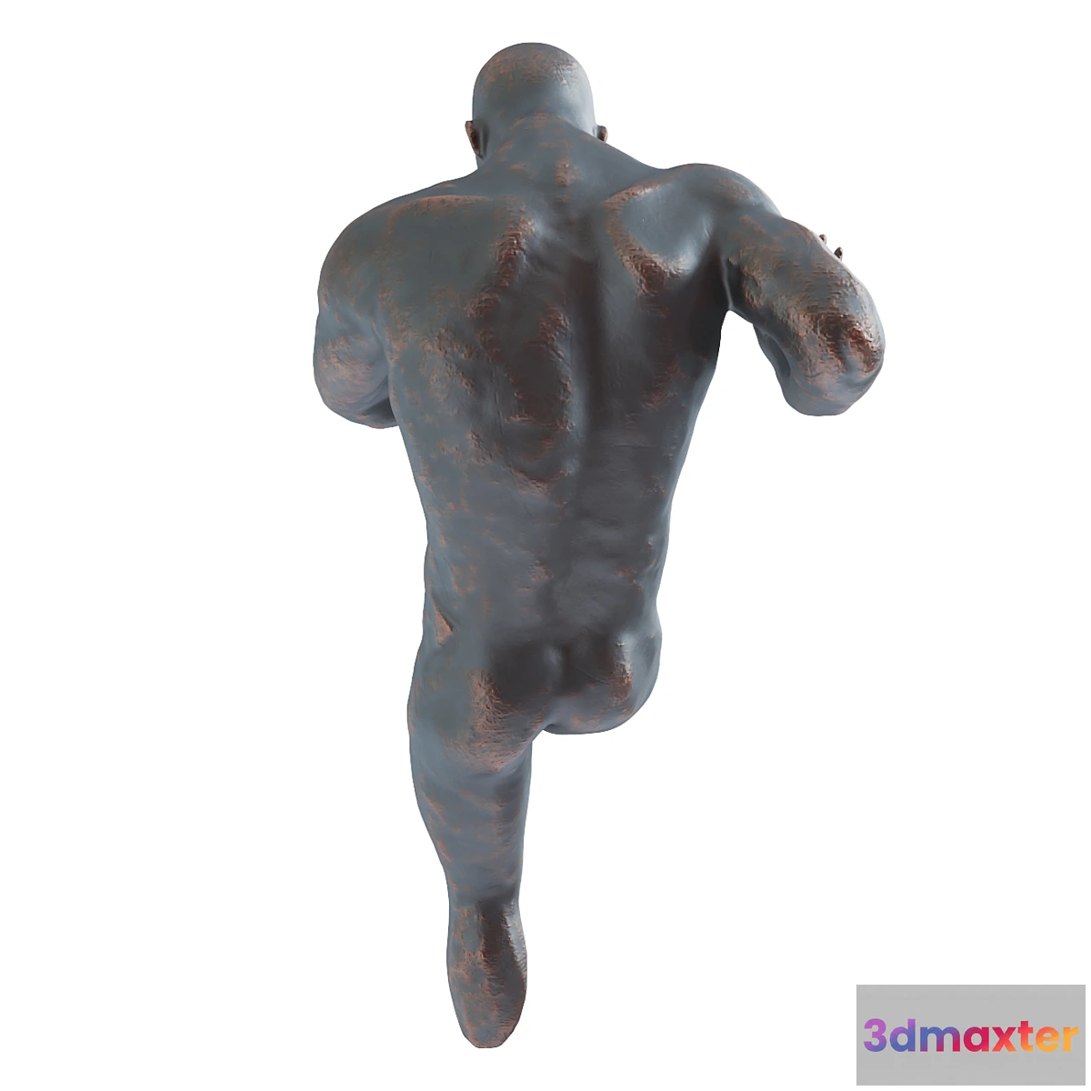 1328267 - Man wall 3D Max