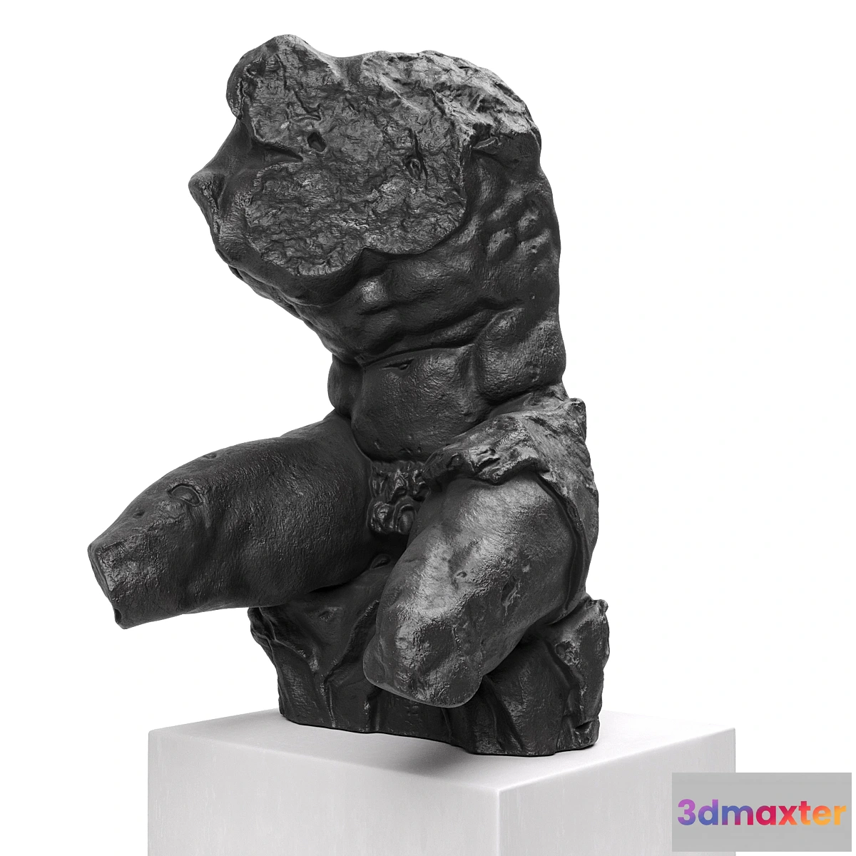 1405234 - Belvedere Torso sculpture black 3D Max