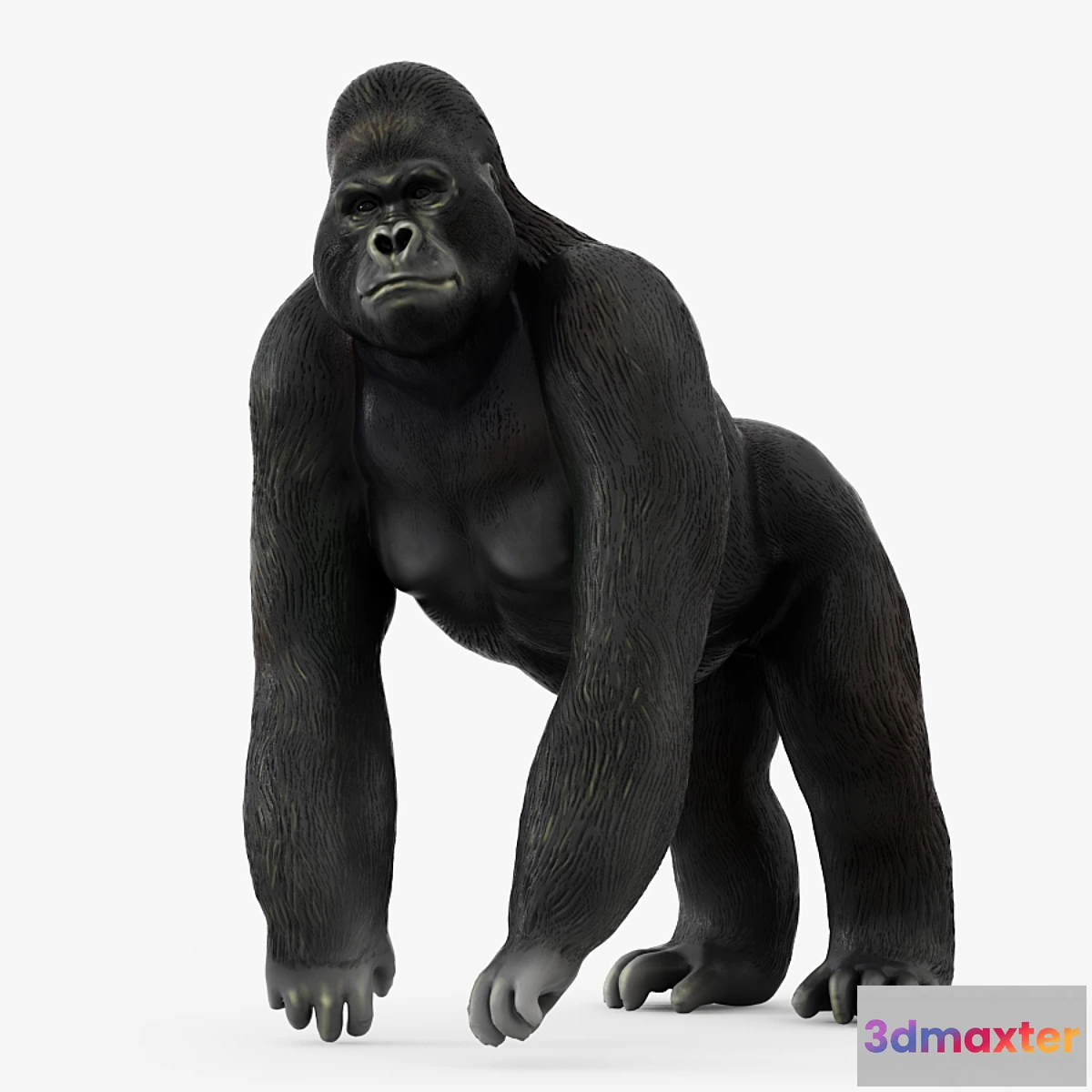 1476952 - Figurine gorilla 3D Max