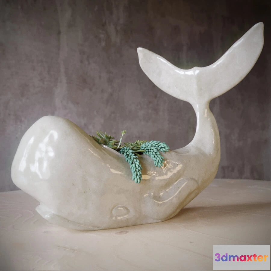 1608366 - decoration - Whale succulent 3D Max