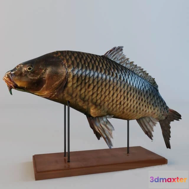 1608480 - decoration - Figurine Fish 3D Max