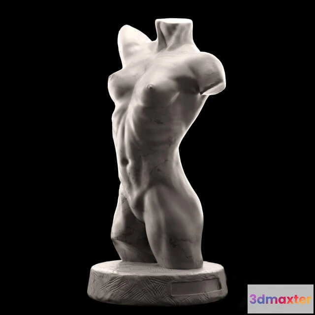 1608482 - decoration - Female Torso 3D Max