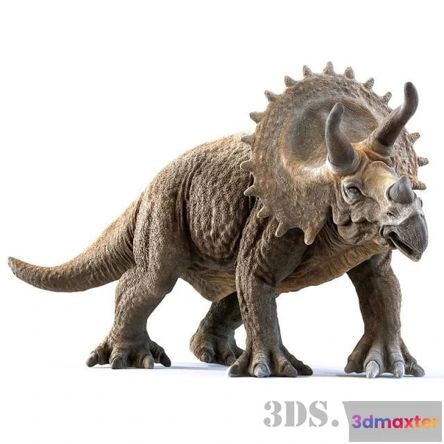 1608566 - decoration - Dinosaur Triceratops 3D Max