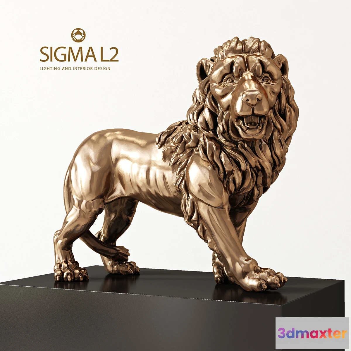 579428 - SIGMA L2 Leone A303