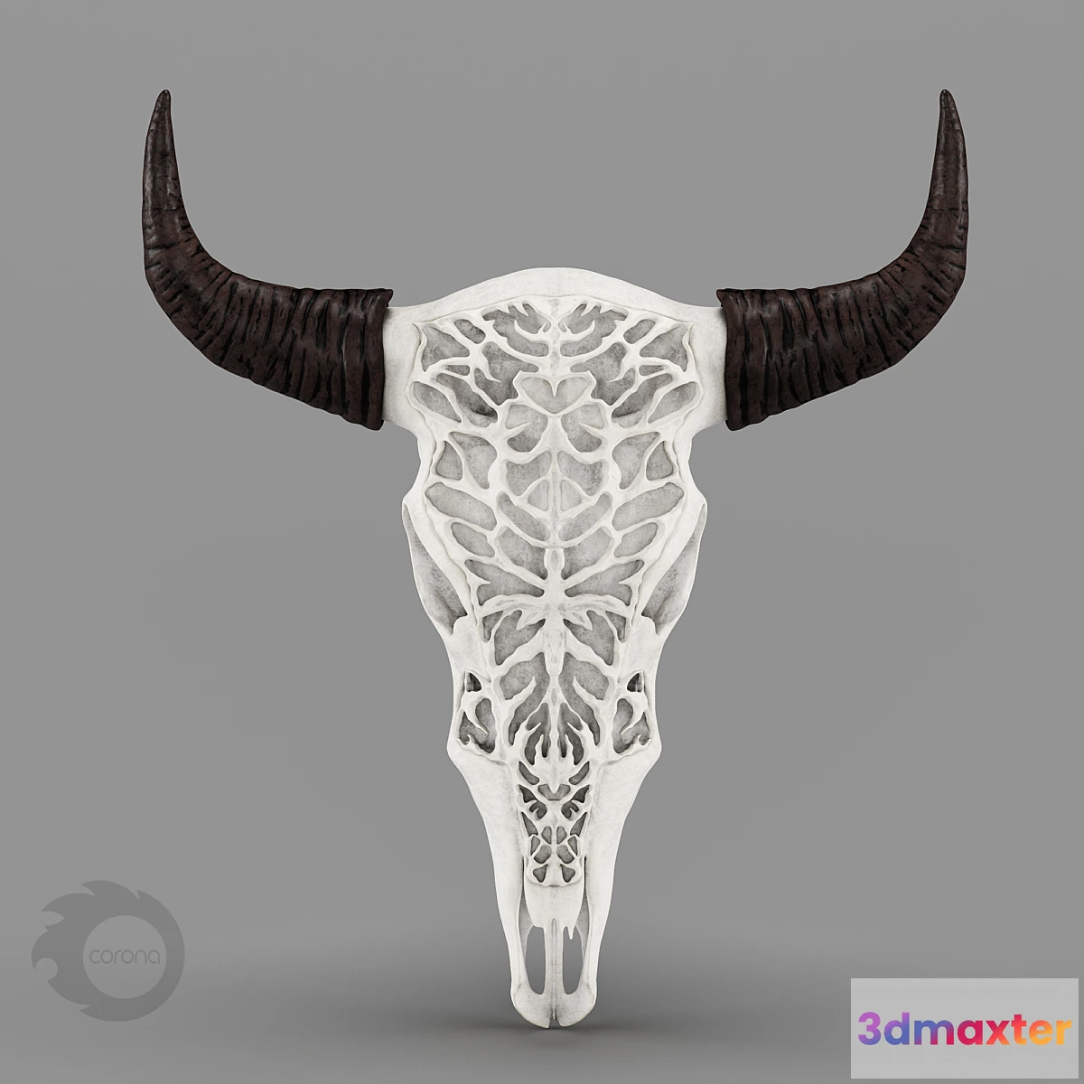 592698 - Wall Decor Bull Skull with Bone Carving