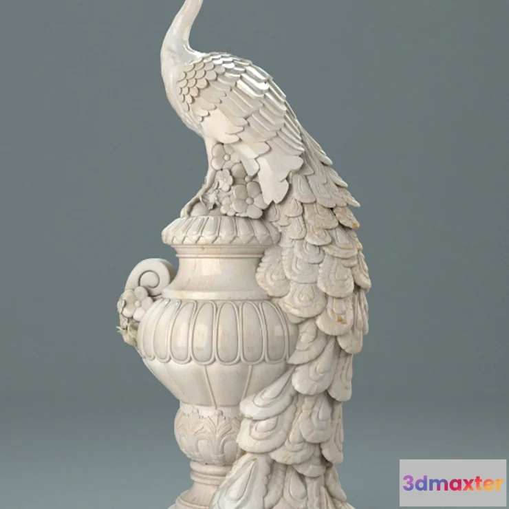 626863 - Drinker Peacock.