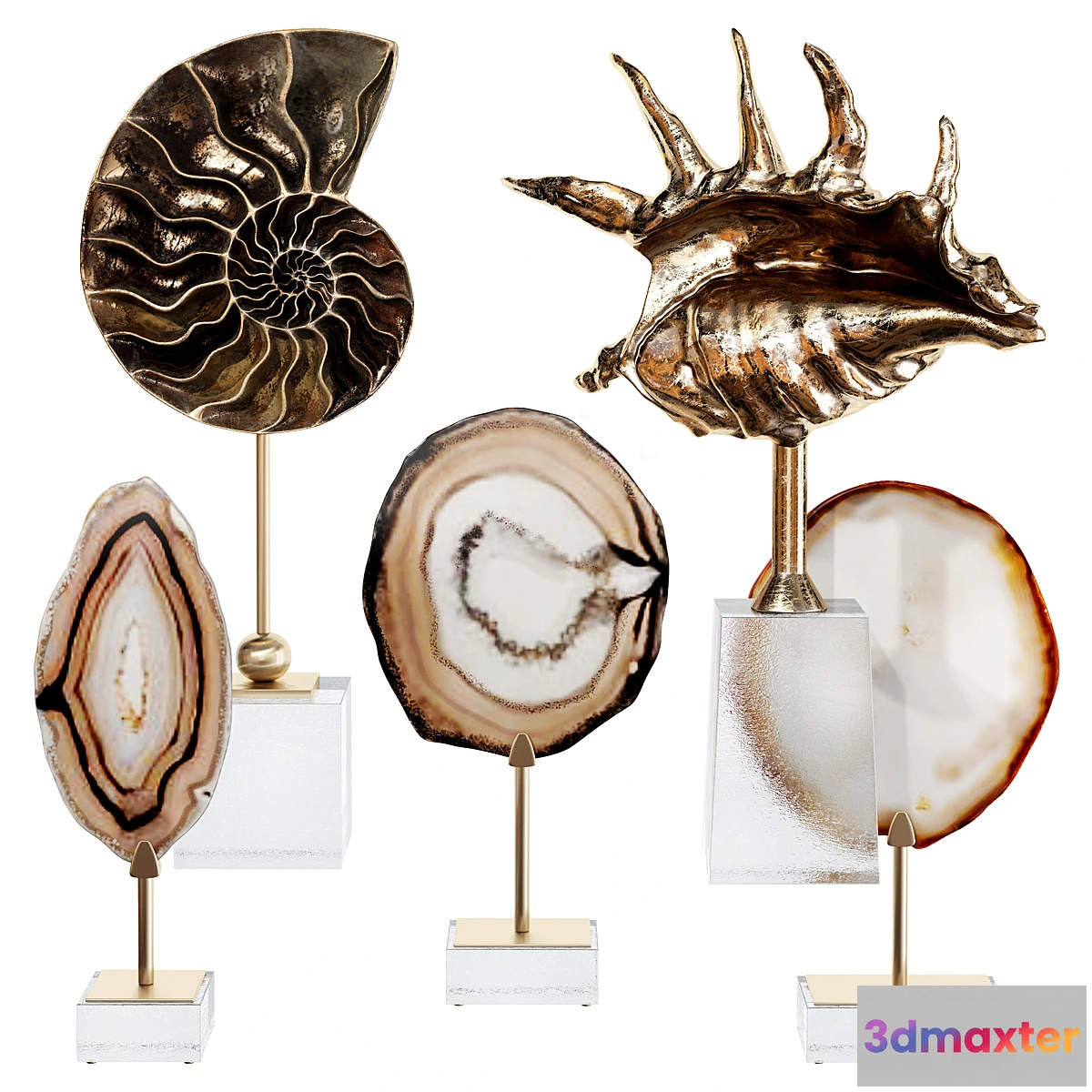 770131 - Sea shell decorative set 02 - No.2