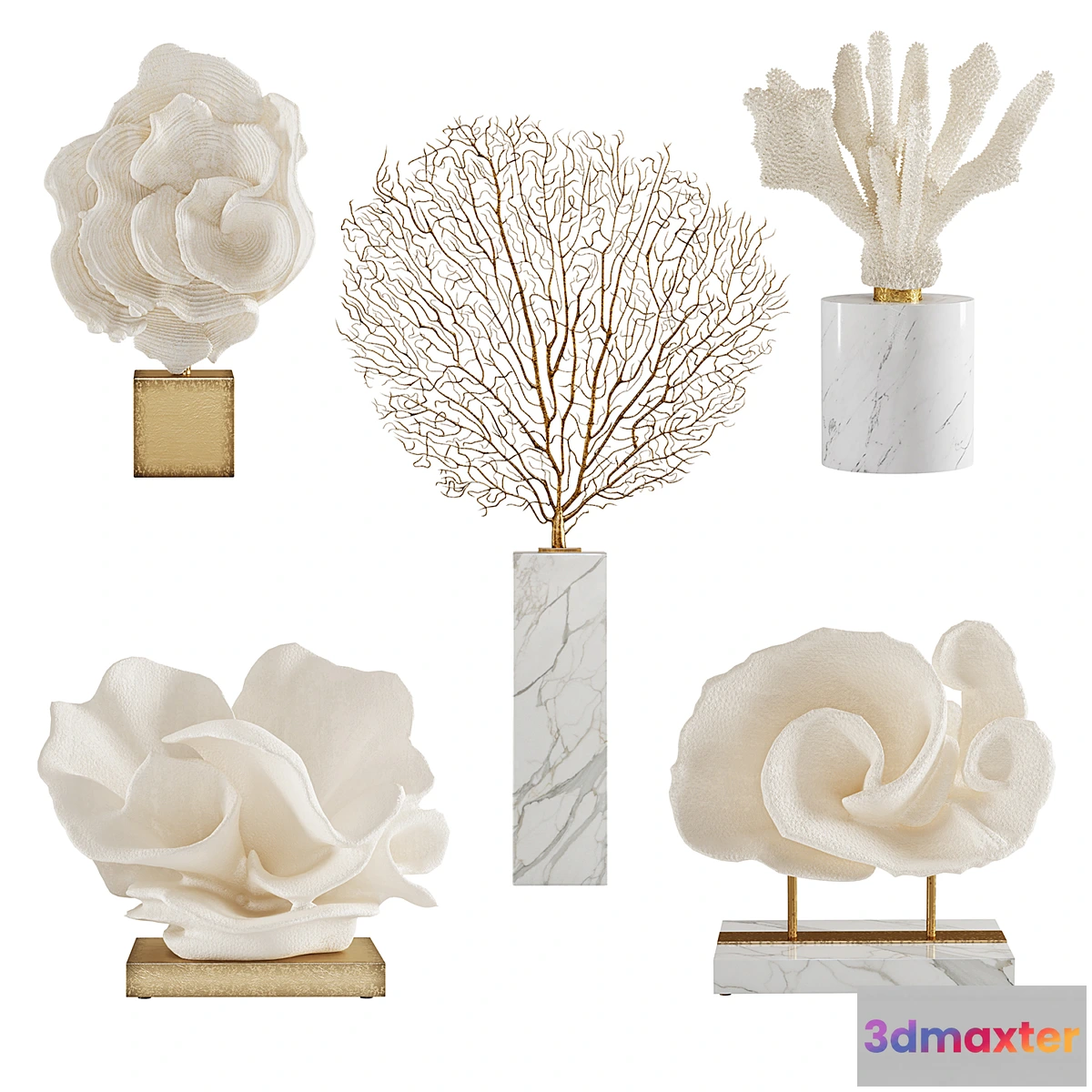 770245 - Coral Set 5 - No.2