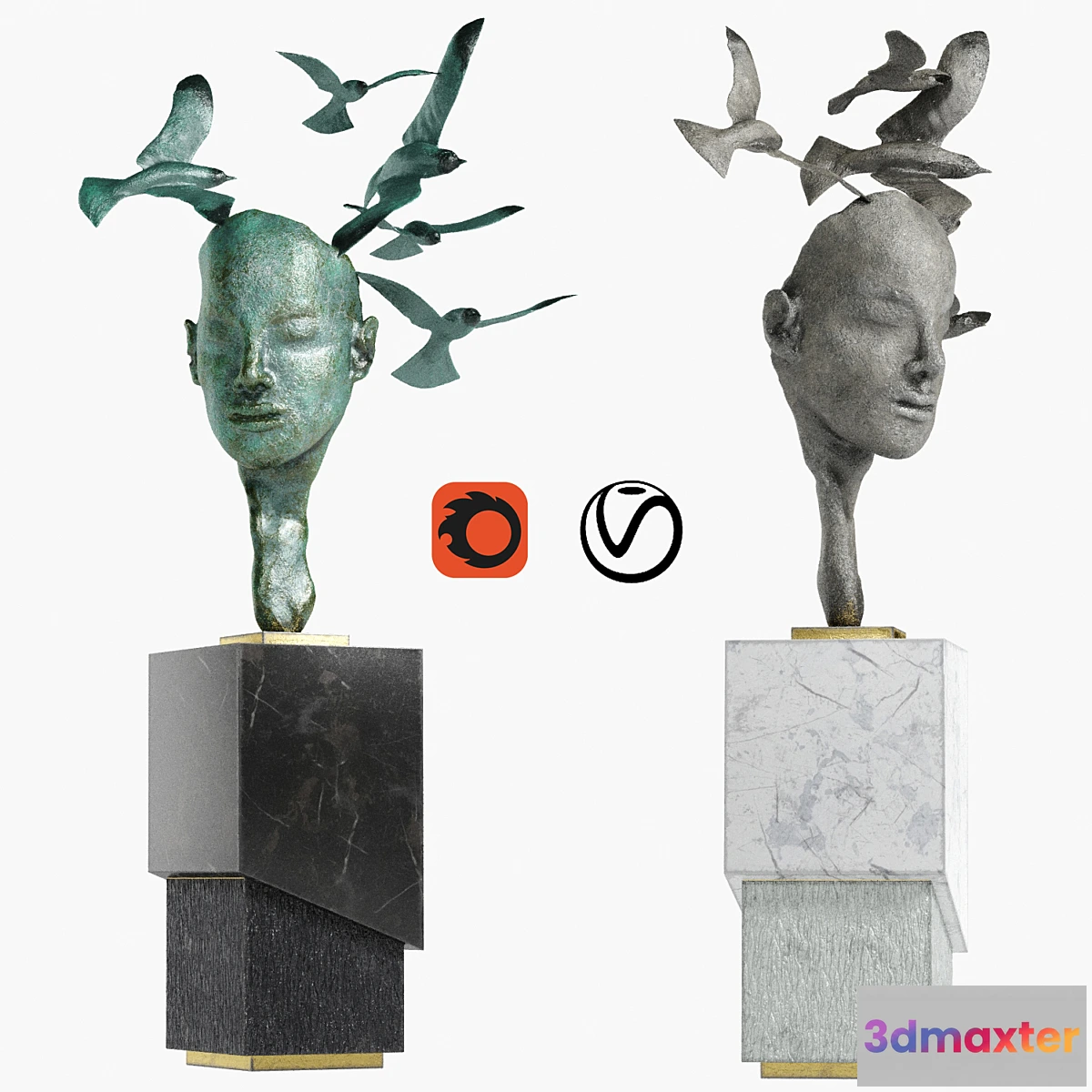 893334 - Human Scluoture 4 - No.2