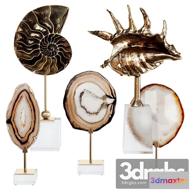 931568 - Sea Shell Decorative Set 02