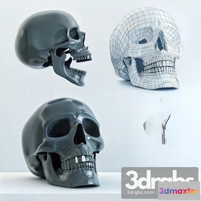 931592 - Skull Statue