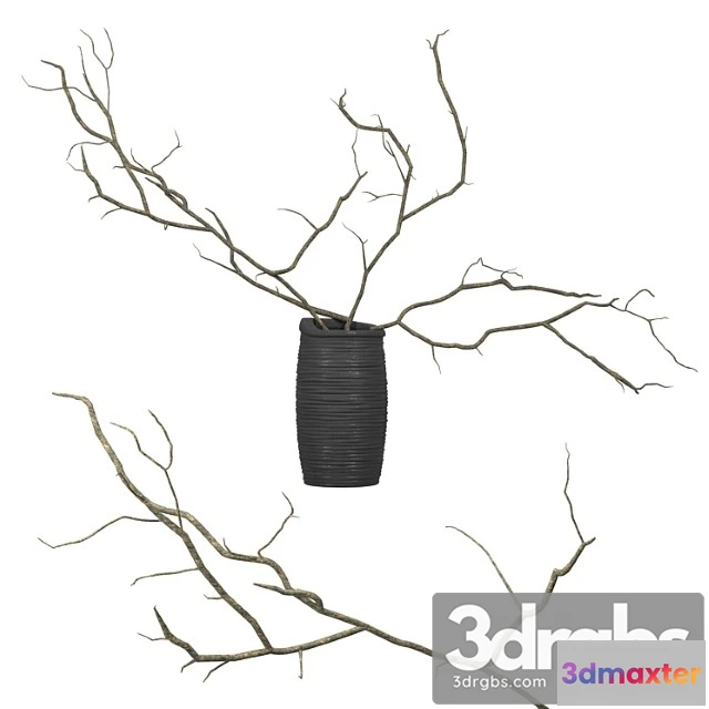 1022878 - Branches in a vase