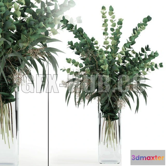 1080348 - Eucalyptus in tall vase - 213905