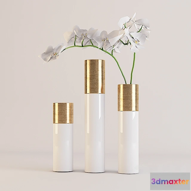 1094320 - VASE RAJA - 227877