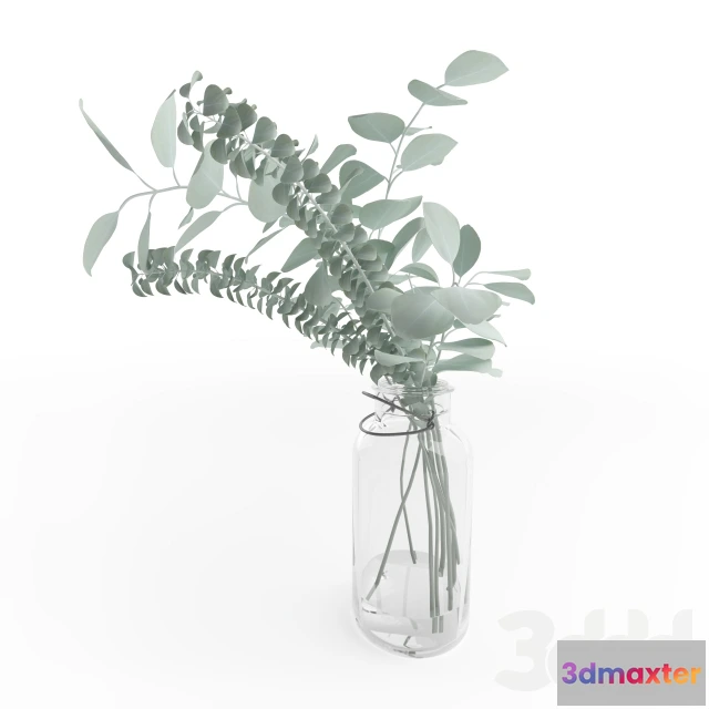 1094322 - Vase with eucalyptus - 227879