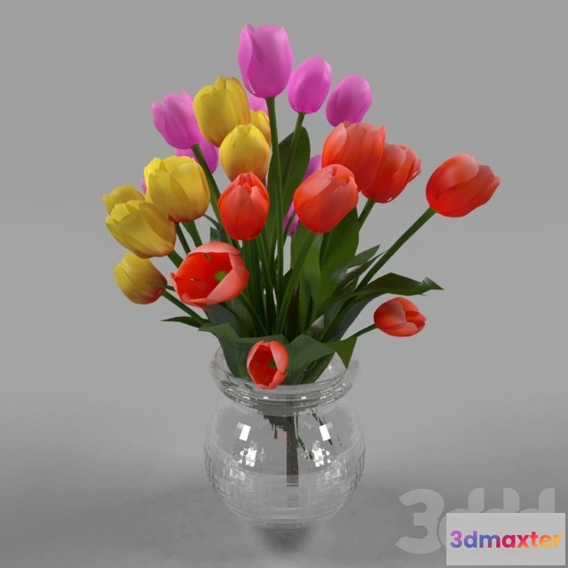 1094324 - Vase with tulips - 227881