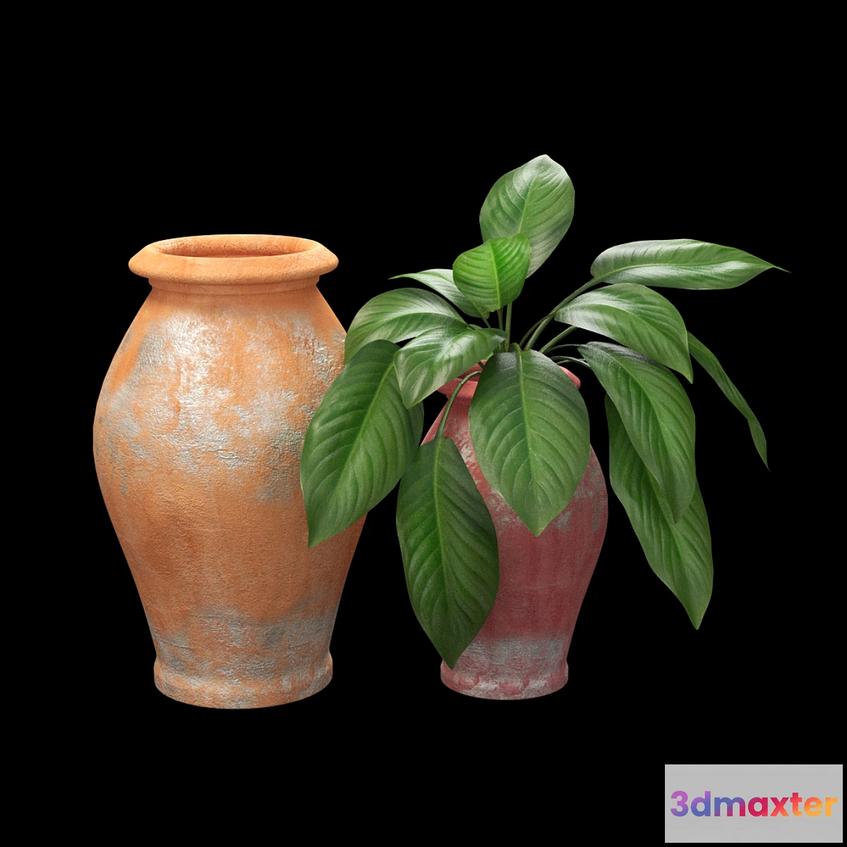 1425846 - pot1145 3D Max