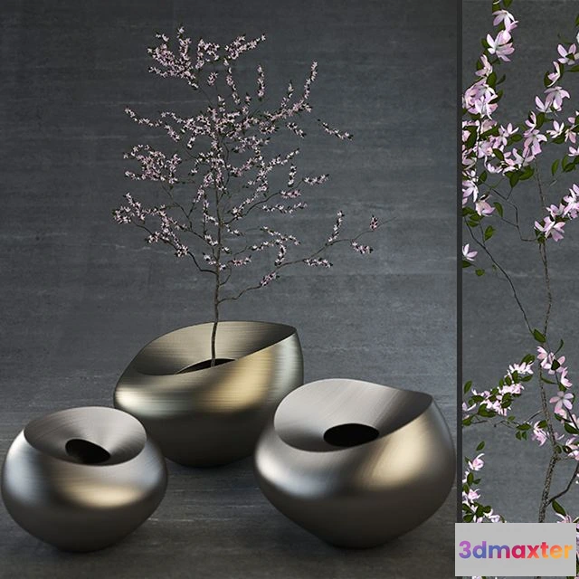 1539965 - Decorative Vases 3D Max