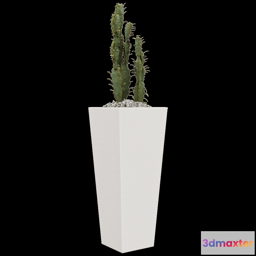 1608918 - CPRN HOMOOD - Square vase Art.OD1061 3D Max