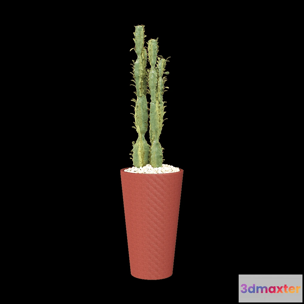 1608926 - CPRN HOMOOD - Round vase Art.OD1063 3D Max